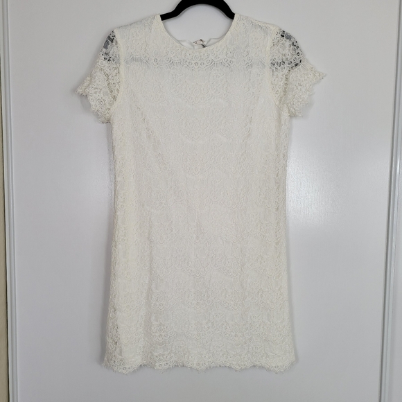 Lulu’s Take Me to Brunch Dress Lace Shift Scalloped Dress Medium - Picture 3 of 13